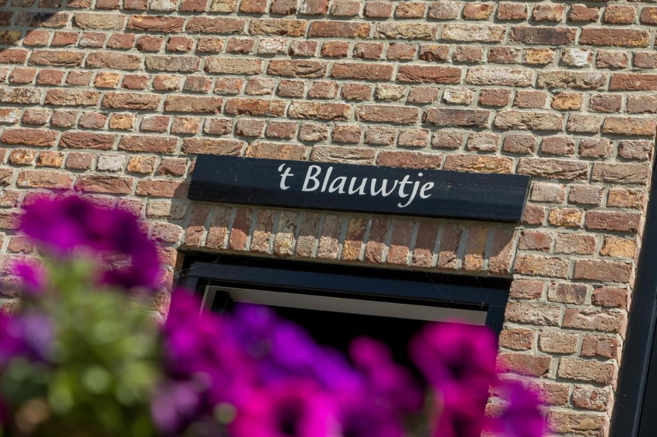 Vakantiehuis - Lepelstraat 18A: 't Blauwtje Vrouwenpolder Buitenkant foto